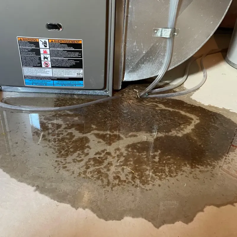 Appliance Leak Cleanup in Cornelius, NC